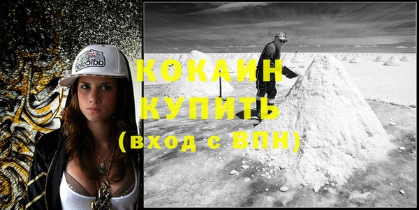 молекула духа Заволжье