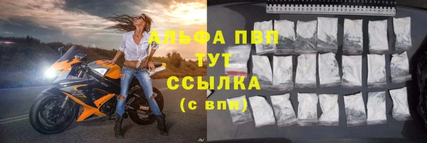 молекула духа Заволжье