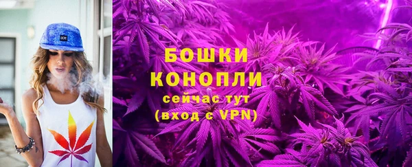 молекула духа Заволжье
