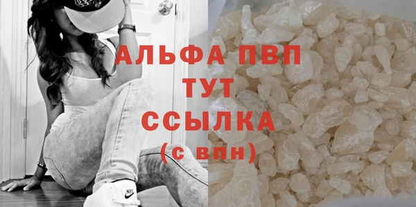 молекула духа Заволжье
